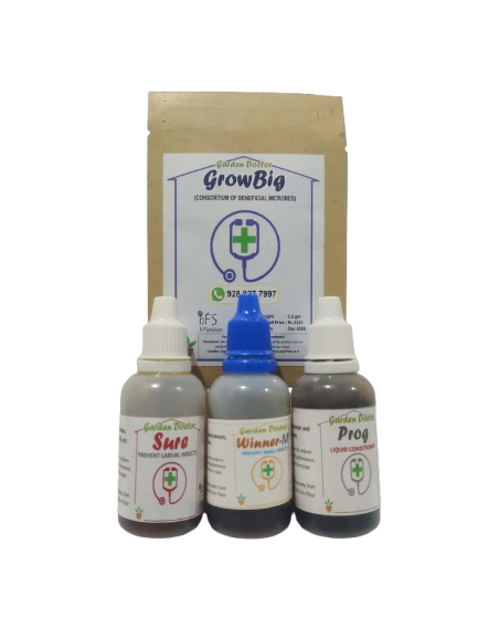 Combo 5 Big: GrowBig, Sure, Winner M & Prog (for up to 36 plants)